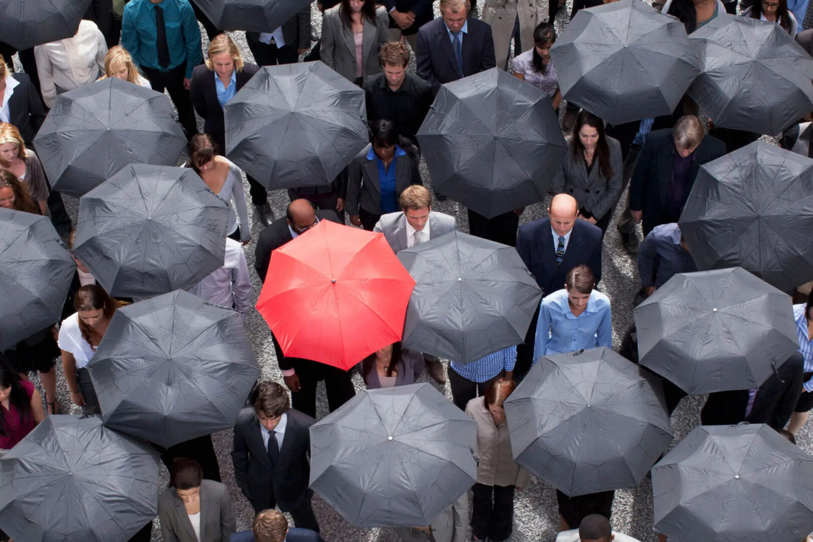 One red umbrella among many black umbrellas